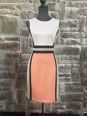 Calvin Klein Peach, Ivory and Black Colorblock Sheath Dress